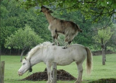 Vad funkar bäst? Team work!!!!!!!!